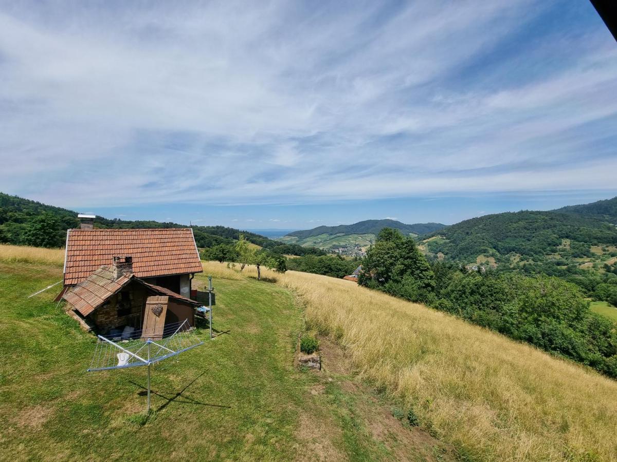 Haus Am Berg Mit Wellnessbereich, Bar Und Panorama Villa Buhlertal Bagian luar foto