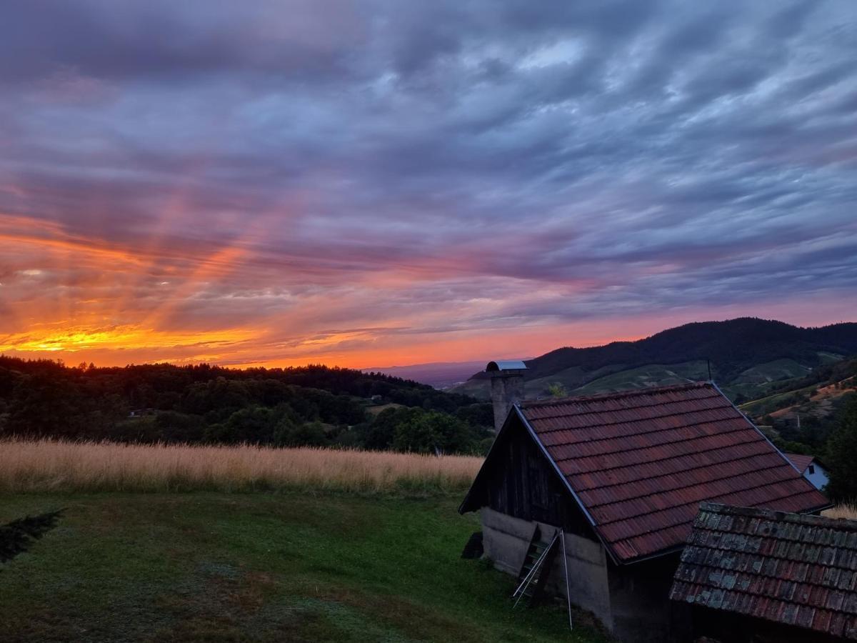 Haus Am Berg Mit Wellnessbereich, Bar Und Panorama Villa Buhlertal Bagian luar foto