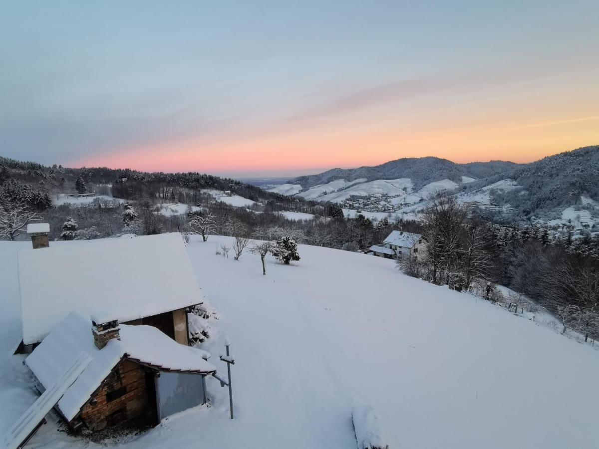 Haus Am Berg Mit Wellnessbereich, Bar Und Panorama Villa Buhlertal Bagian luar foto